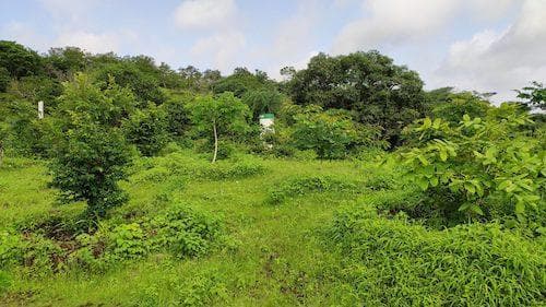 cover image for project: Hillside Plantation Abdimandi, Khultabad