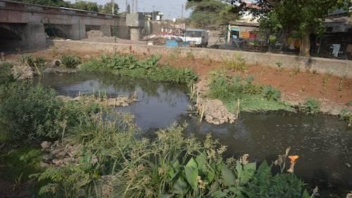 cover image for project: Uruli Kanchan Nala Restoration